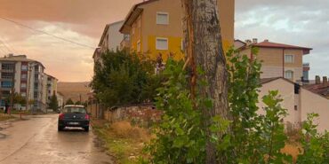 Ağaca-yıldırım-isabet-edince-korkudan-bayıldı,-hastaneye-kaldırıldı!