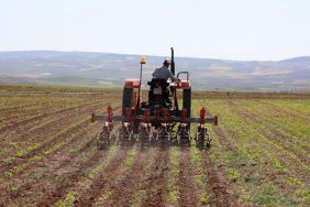 TÜİK--Tarımsal-girdi-fiyat-endeksi-ağustosta-arttı