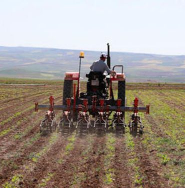 TÜİK--Tarımsal-girdi-fiyat-endeksi-ağustosta-arttı