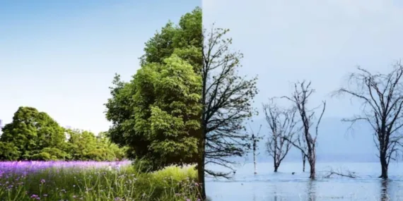 Prof. Dr. İhsan Çiçek yaşanan ekstrem meteorolojik hadiseleri değerlendirdi!