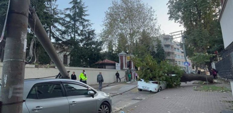 Yeni Proje (2)