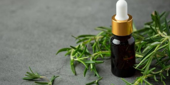 Biberiyenin saç sağlığına faydaları nelerdir?