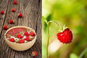 Yeni Proje - 2023-11-10T161320.063