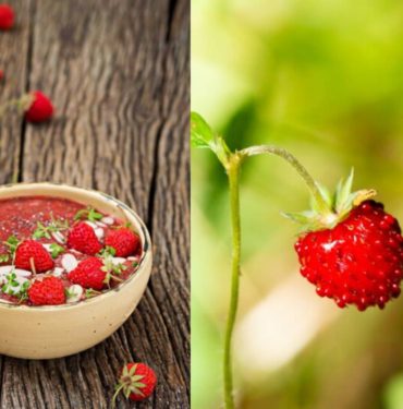 Yeni Proje - 2023-11-10T161320.063