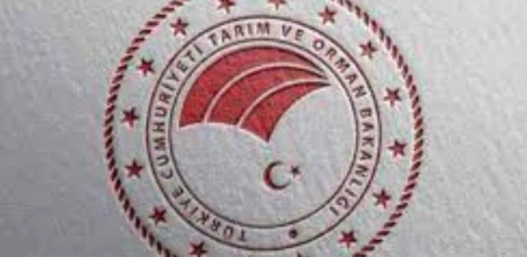 Yeni Proje (33)