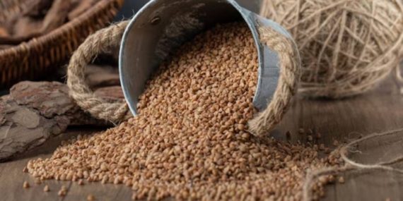 Sağlık İçin Bir Hazine… Keten tohumu