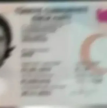 ehliyet