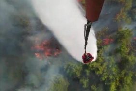 muğlada orman yangını