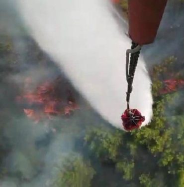 muğlada orman yangını