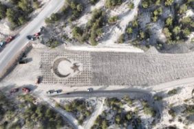 ürk Bayrağı temalı fidan dikimi