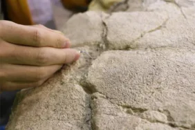 Yeni Proje - 2023-12-11T121602.622