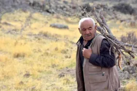 Yeni Proje - 2023-12-12T102931.968