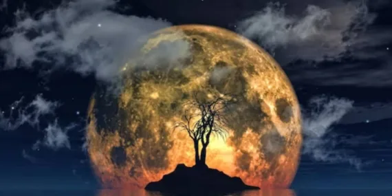 25 Şubat 2025 Salı günlük burç yorumları: İlişkilerinizi gözden geçirin!