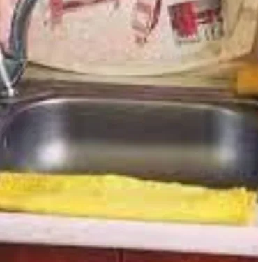 sarı mutfak bezi