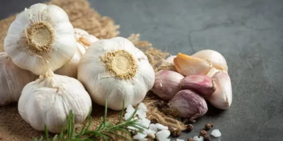 Taşköprü sarımsağı, aroması ve kalitesiyle pazarın gözdesi oldu!