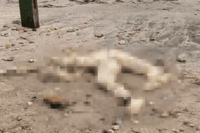 659b0adbc732a7ec67db422b