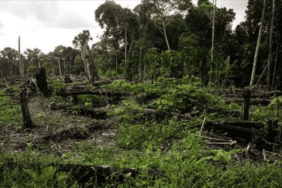 WyEMh6e23kmG-6wRJoYbUQ (1)