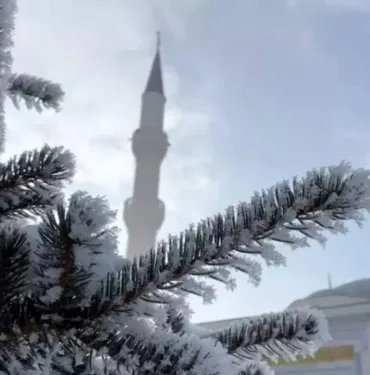 Yeni Proje (15)