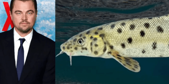 Leonardo DiCaprio Türkiye’deki doğaüstü güzelliği paylaştı!