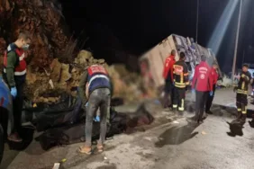 Yeni Proje - 2024-01-16T102041.943