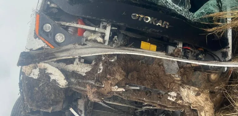 Yeni Proje (78)