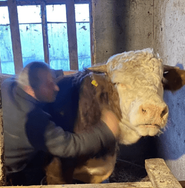Yeni Proje (79)