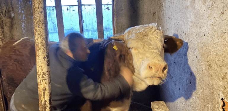 Yeni Proje (79)
