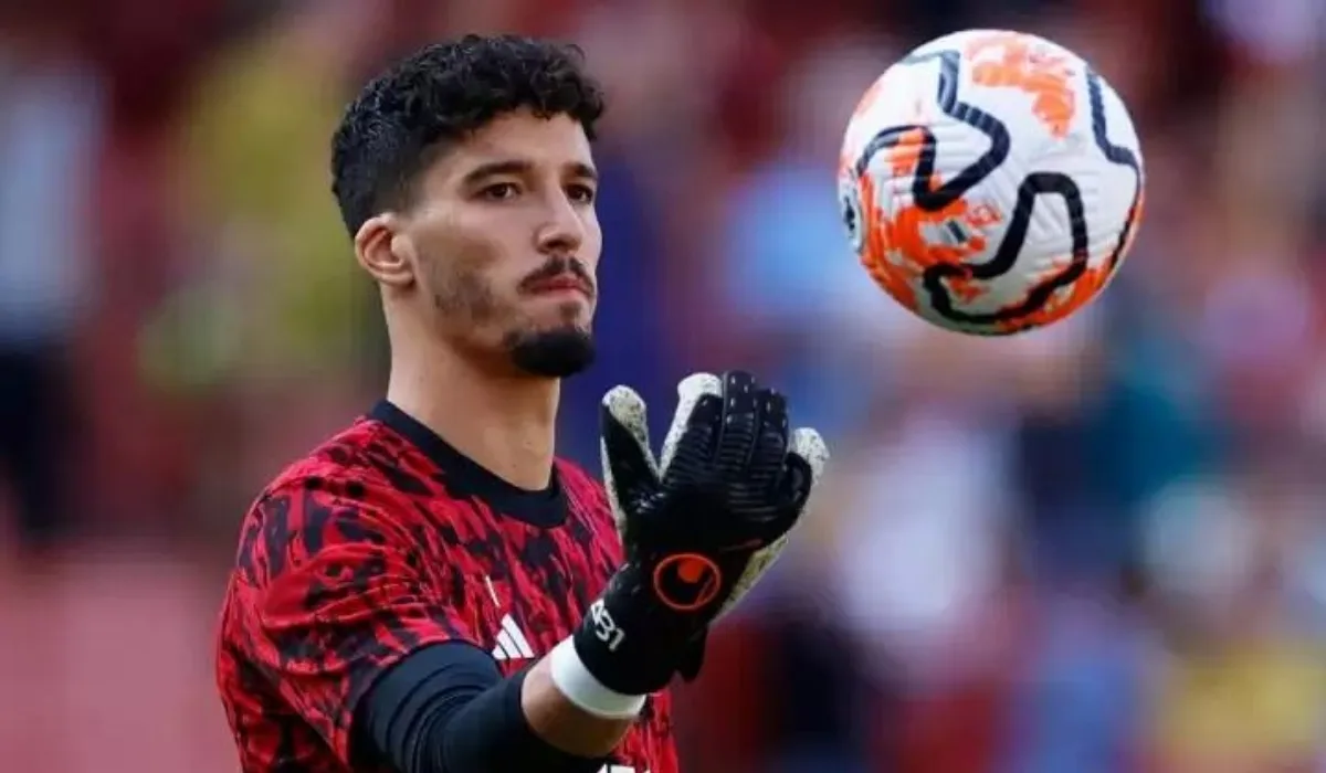 altay bayındır