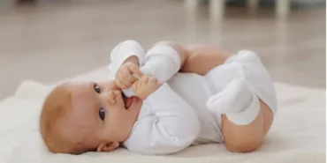 bebek