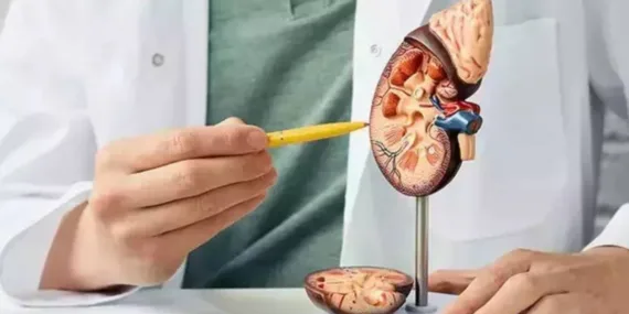 Metabolizmanızı hızlandırın yaşlanmanız yavaşlasın