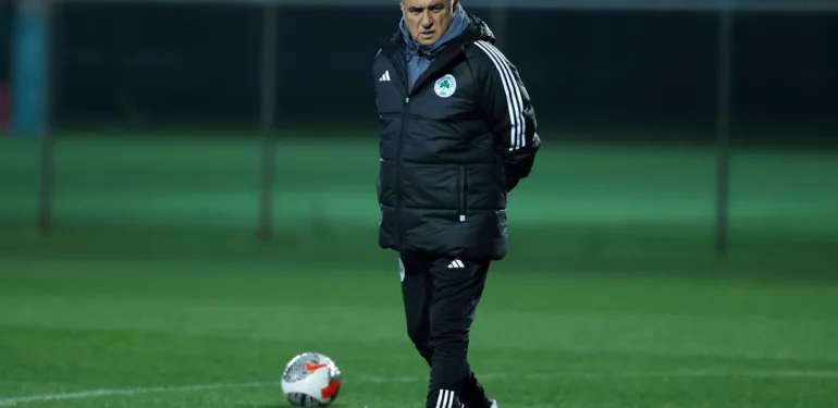 fatih terim 2