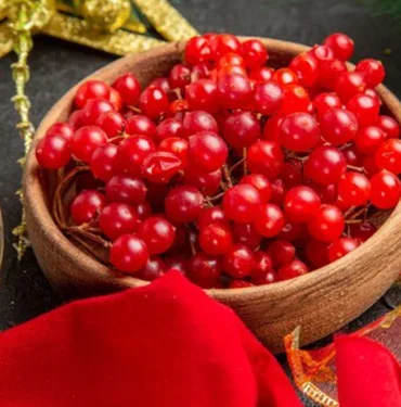 kizilcik