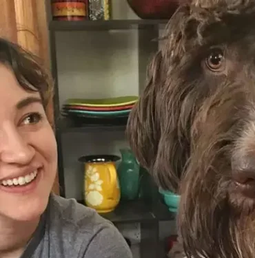 köpek