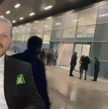 nedim kaya
