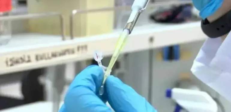 sağlık doktor test