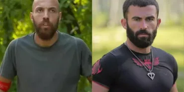 survivor