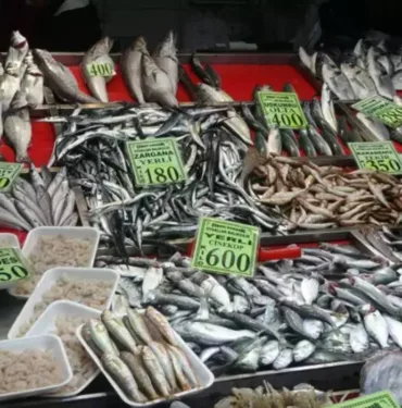 Çanakkale'de 'denizin prensi' lüferin kilosu cep yakıyor! İstavritte ise bolluk var