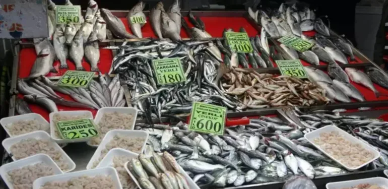 Çanakkale'de 'denizin prensi' lüferin kilosu cep yakıyor! İstavritte ise bolluk var