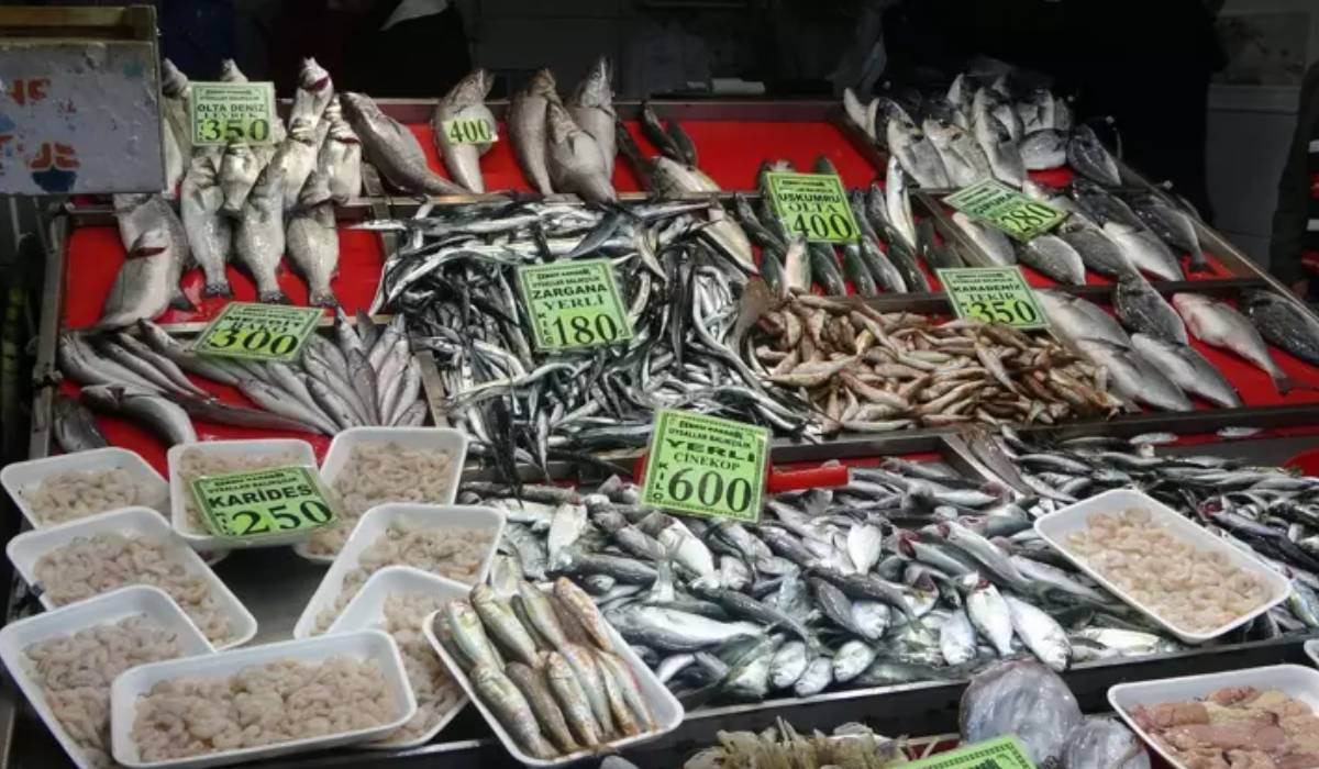 Çanakkale’de ‘denizin prensi’ lüferin kilosu cep yakıyor! İstavritte ise bolluk var