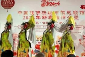 Çinliler Ejderha Yılına İstanbulda kutladı