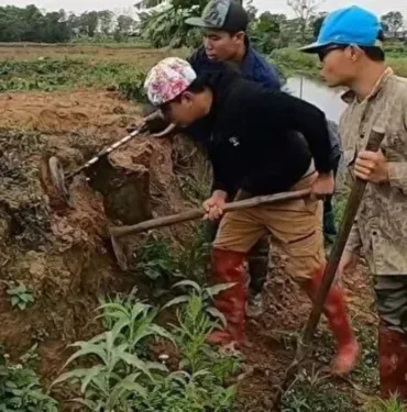 Dehşete düşüren anlar... Yüzlercesi toprağın altından çıktı!