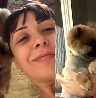 Eski sahibi sevme bahanesiyle aldığı köpeği vermedi! Opera sanatçısı davayı kazandı ama 'Lui'ye kavuşamadı