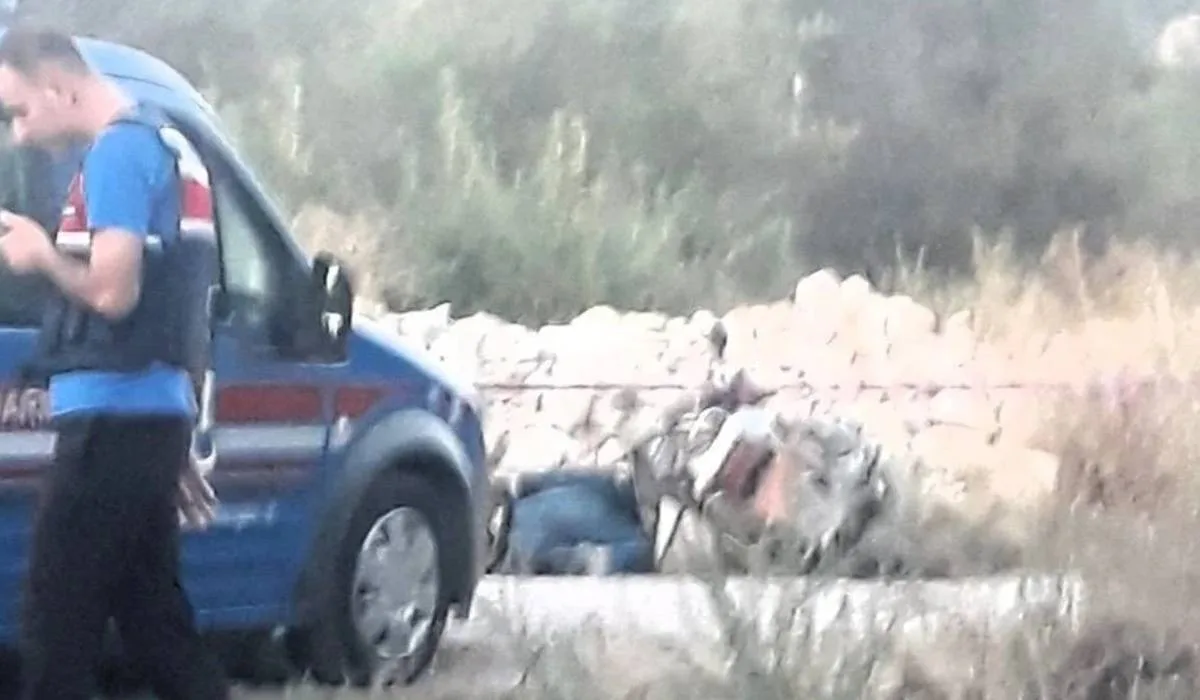 Komşusu tuzak kurmuş! Kaza süsü verilen cinayet 5 ay sonra aydınlatıldı...