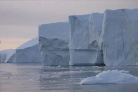 Kutuptan örnek alınıyor! Okyanuslardaki makro ve mikro plastik kirlenmesinde ticari gemilerin rolü nedir