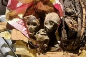 MUMYALANMIŞ MAYMUN (1)