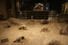 Şanlıurfa'da çıkarılan neolitik döneme ait 81 eser ilk kez arkeoloji müzesinde sergilenecek