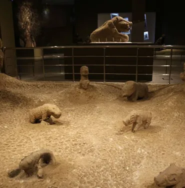 Şanlıurfa'da çıkarılan neolitik döneme ait 81 eser ilk kez arkeoloji müzesinde sergilenecek