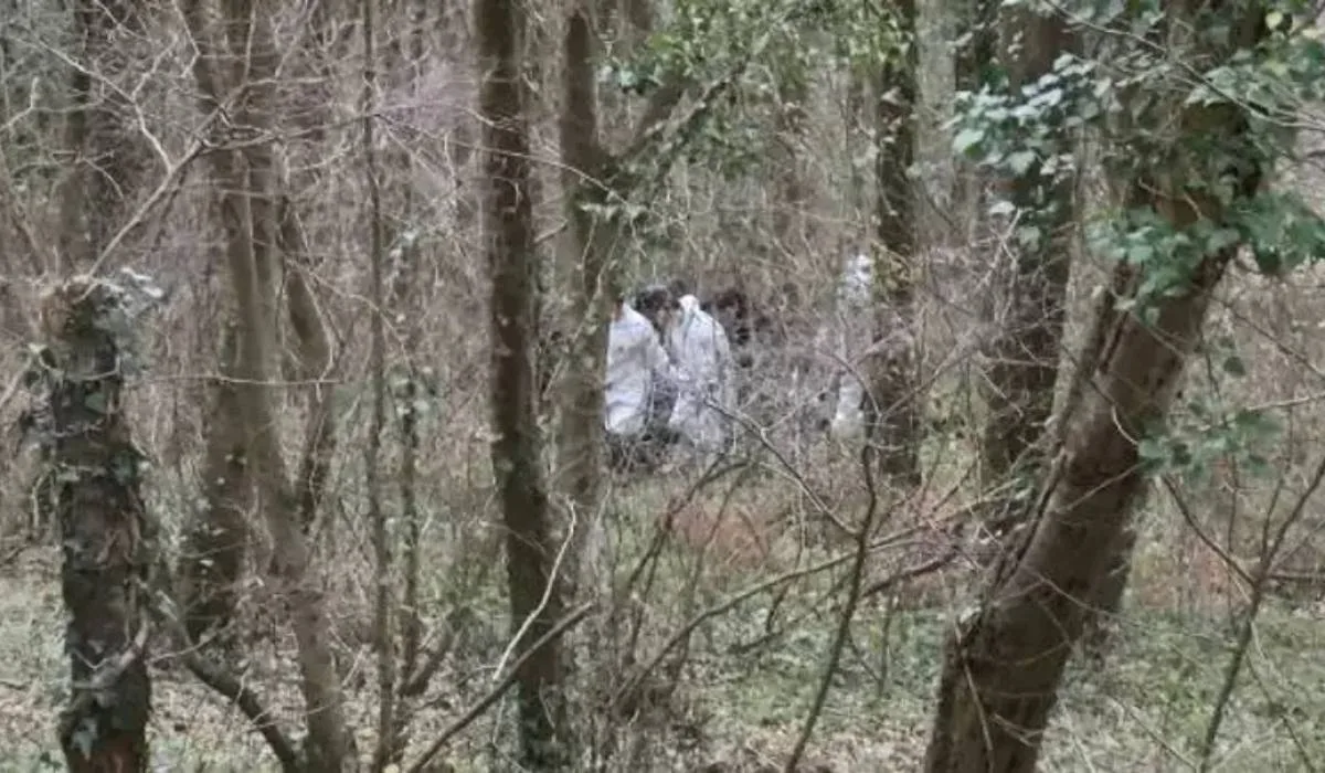 Sarıyer’de ağaca kravatlarla bağlanmış çıplak erkek cesedi bulundu