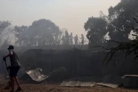 Şili'de orman yangını