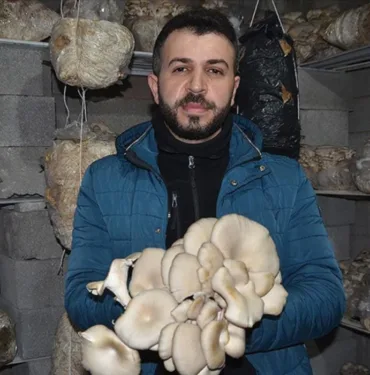 Sosyal medyadan izledi... Evinin ikinci katında istiridye mantarı üretim alanı oluşturdu!